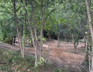 Photo-Sep-06-2024,-8-04-08-PM